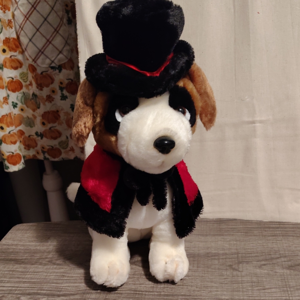 DanDee St. Berneard Dog Magician